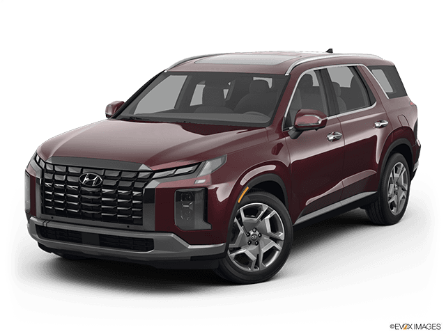 2025 Hyundai Palisade Owner Complaints